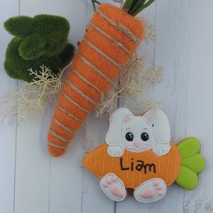 Small Bunny & Carrot